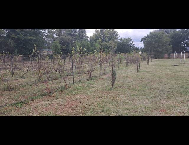 4,064M² VACANT LAND FOR SALE IN HENLEY ON KLIP